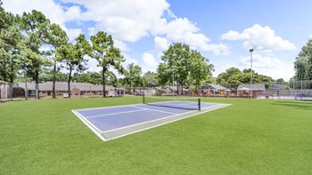 Pickle ball court